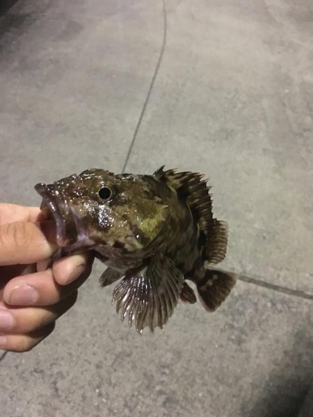 ナイスサイズ！