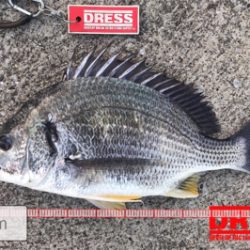 上げて下げて…