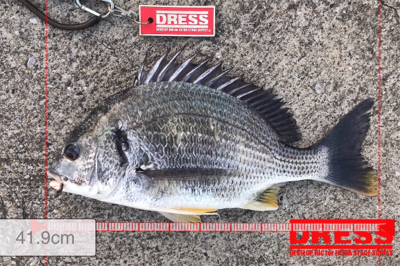 上げて下げて...