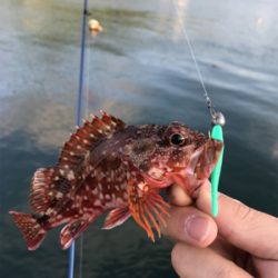 マイクロダート