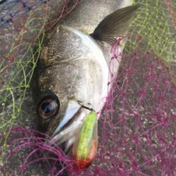 仕事終わりに少しだけ