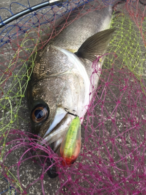 仕事終わりに少しだけ