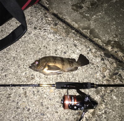 またメバリング