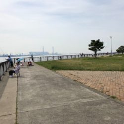 武豊緑地でサビキ