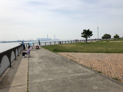 武豊緑地でサビキ