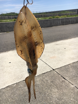 ヤエンで初ゲット