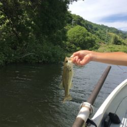 ハマれば爆釣桜池