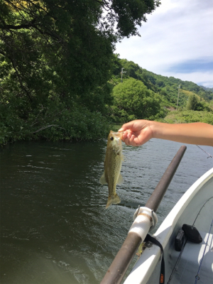 ハマれば爆釣桜池