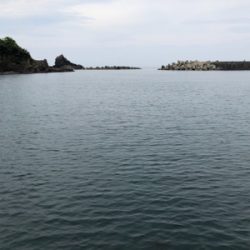 久々のメバリング