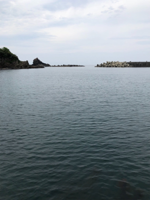 久々のメバリング