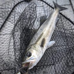 朝練に続き夕練