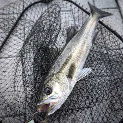 朝練に続き夕練