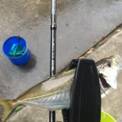 地合いは超短い