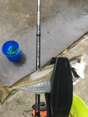 地合いは超短い