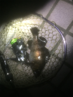 メバルとの我慢くらべ