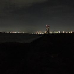 淀川ブリームゲーム 40cm up