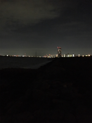 淀川ブリームゲーム 40cm up