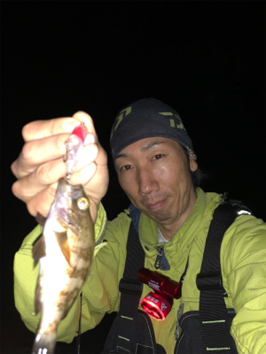 夕まずめ/ナイトゲーム☆GUNNING-S…