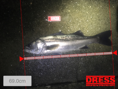 短時間バチ抜け