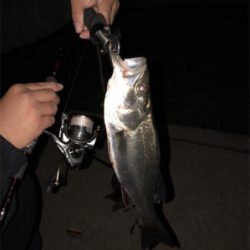 マイポイント強い！