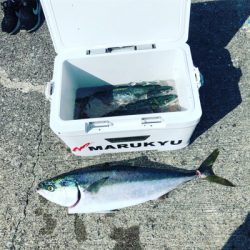 初!カヤックフィッシング