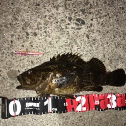 鳴門の漁港にて