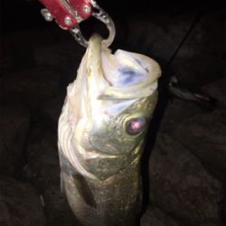 いつもの場所で^ ^