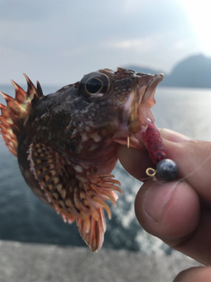 ガジラ様に感謝