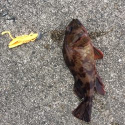 旅行先の雨前に