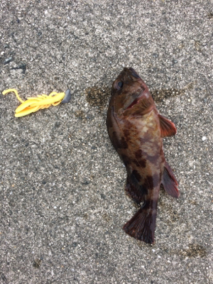 旅行先の雨前に