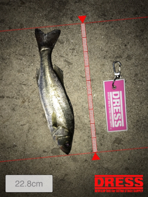 雨上がりのメバリングは…