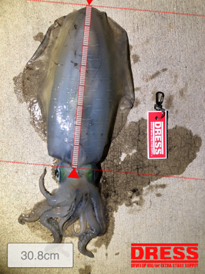 やっとの一杯です。