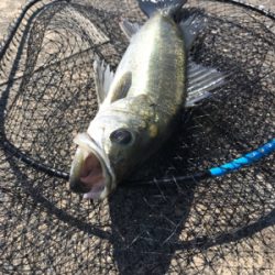 15連続バラシからの…