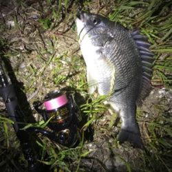 チニングプチ大会♪