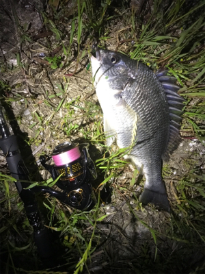 チニングプチ大会♪