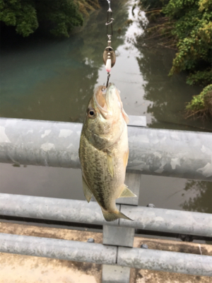 初バス、初ヒット！