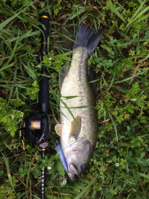 雨パワーで水面炸裂!!