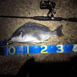 淀川ブリームゲーム 18ナスキーの鱗付け