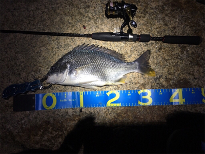 淀川ブリームゲーム 18ナスキーの鱗付け