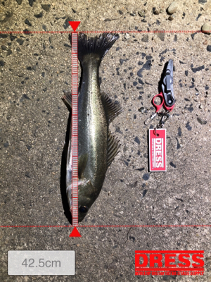 ちょっと時間潰しに