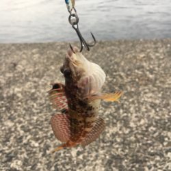 一文字→釣り堀