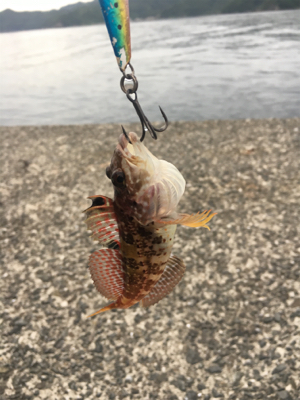 一文字→釣り堀