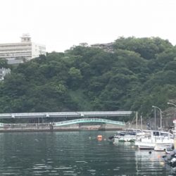 サビキ三目揃い踏みです。