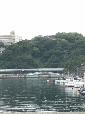 サビキ三目揃い踏みです。