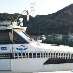 イルカイカメタル