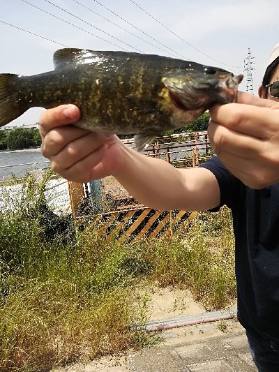 初めてのスモールマウス