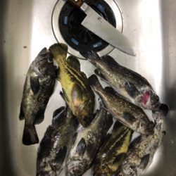 ロックシーズン到来！