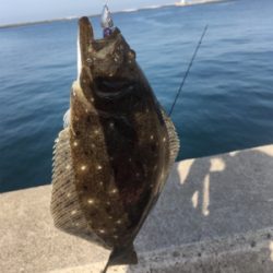 ライトワインド