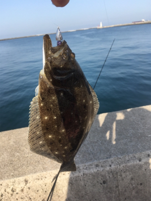 ライトワインド