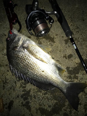 チ…キビレング…(釣行 其の弐拾伍)